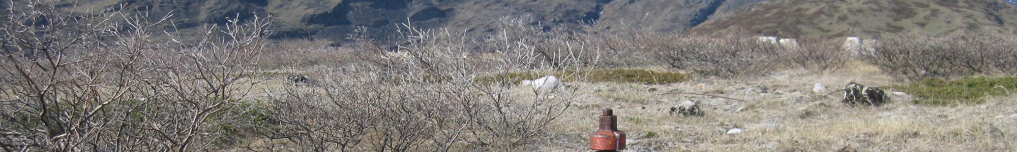 Narsarsuaq Juni2011 016
